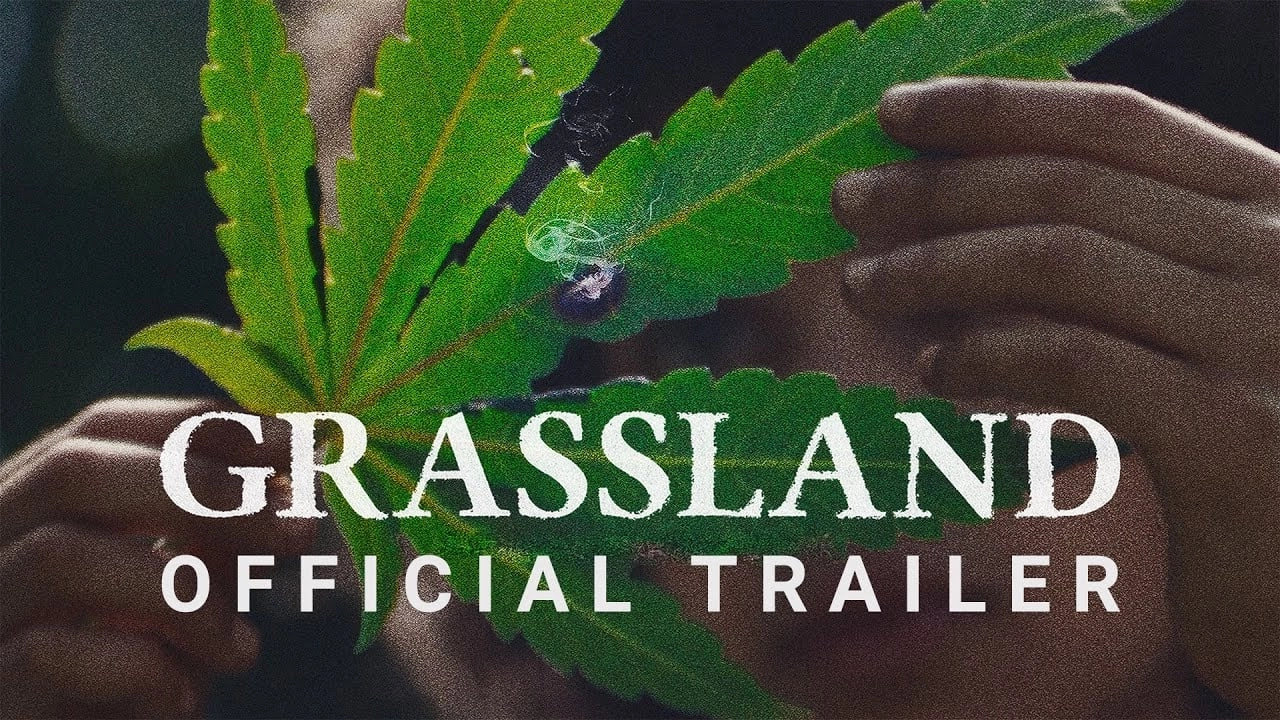 مشاهدة فيلم Grassland 2024 مترجم