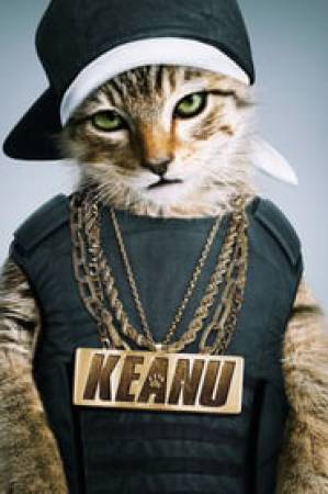 فيلم Keanu 2016 مترجم HD
