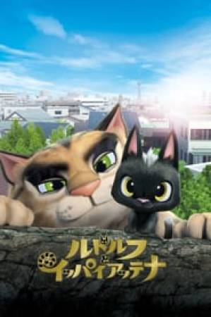 فيلم Rudolf the Black Cat 2016 مترجم HD