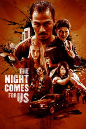 فيلم The Night Comes For Us 2018 مترجم HD