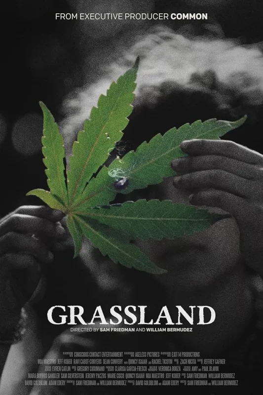 مشاهدة فيلم Grassland 2024 مترجم