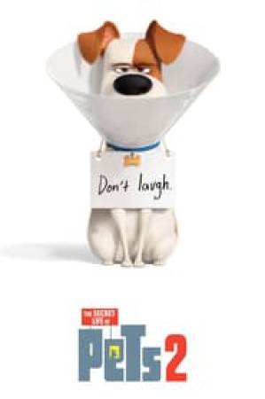 فيلم The Secret Life of Pets 2 2019 مترجم HD