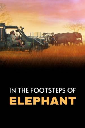 فيلم In the Footsteps of Elephant 2020 مترجم HD